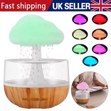 Rain Cloud Air Humidifier 7