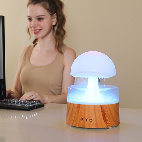 New rain cloud - new, humidifier
