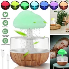 Rain Cloud Humidifier
