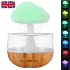 Rain Cloud Air Humidifier 7