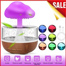 Rain Cloud Air Humidifier 7