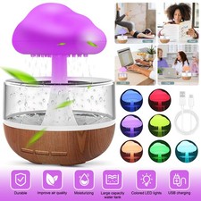 Rain Cloud Air Humidifier 7