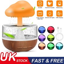 Rain Cloud Air Humidifier W/7