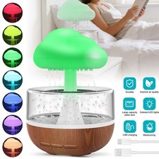 Rain Cloud Humidifier