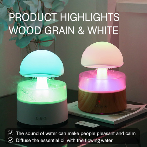 New rain cloud humidifier - rain,