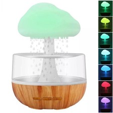 Rain Cloud Air Humidifier 7
