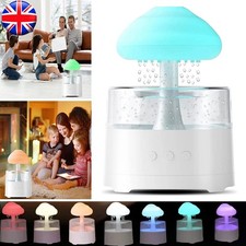 Rain Cloud Air Humidifier 7
