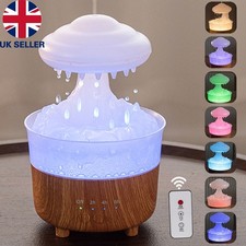 Rain Cloud Humidifier